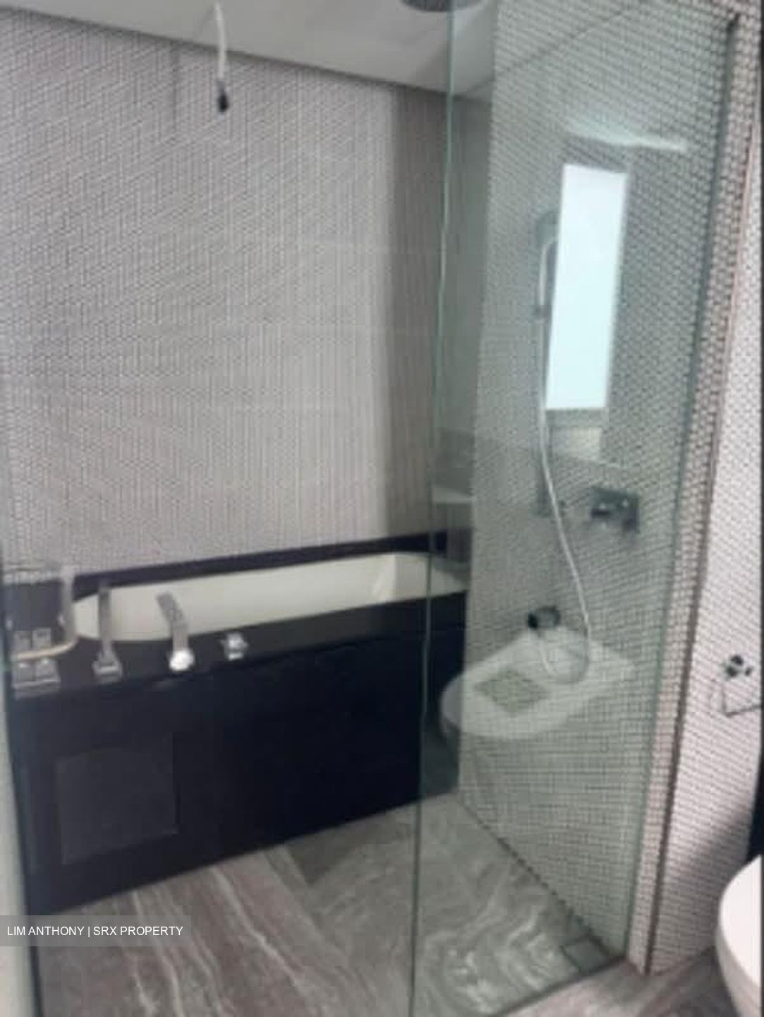 10 Evelyn (D11), Apartment #566593801